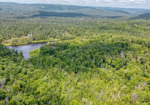 Terrain à vendre -  Ch. de la Sucrerie, Saint-Sauveur, J0R1A0