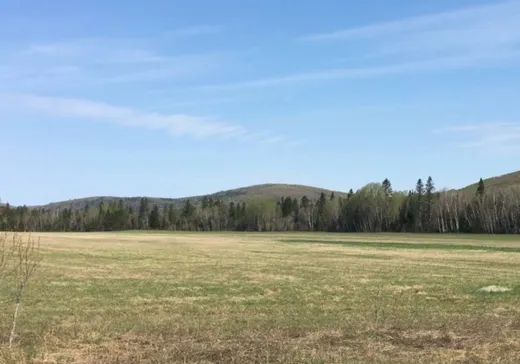 Land for sale -  Av. de la Madawaska, Dégelis, G5T1P5