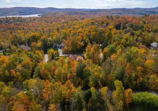 Terrain à vendre -  Rue des Pinsons, Magog, J1X 0M9