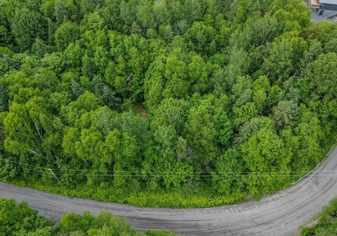 Terrain à vendre -  Ch. de la Montagne, St-Malachie, G0R 3N0