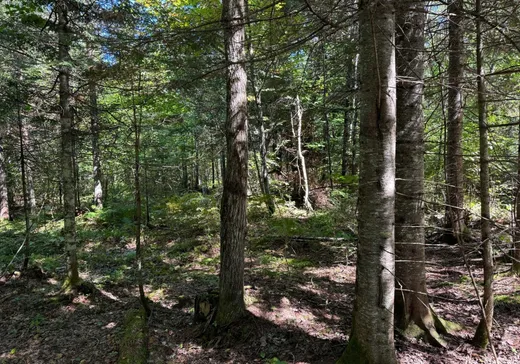 Land for Sale -  Ch. St-Édouard, St-Mathieu-Du-Parc, G0X 1N0