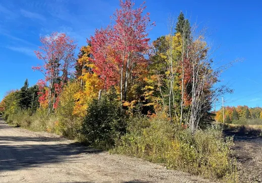 Terrain à vendre - 50 Rue Savard, Petite-Riviere-St-François, G0A 3X0