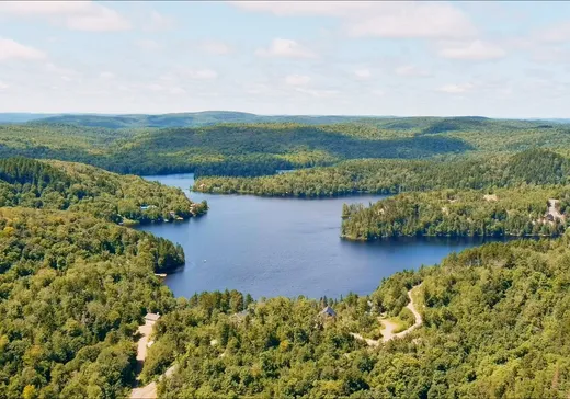 Terrain à vendre -  Ch. de l'Orignal, Ste-Thecle, G0X3G0