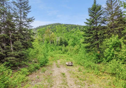 Land for Sale -  Ch. du Lac-de-la-Cabane, Saint-Zenon, J0K 3N0