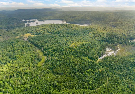 Terrain à vendre -  Ch. du Lac-Cailly, St-Alexis-Des-Monts, J0K 1V0