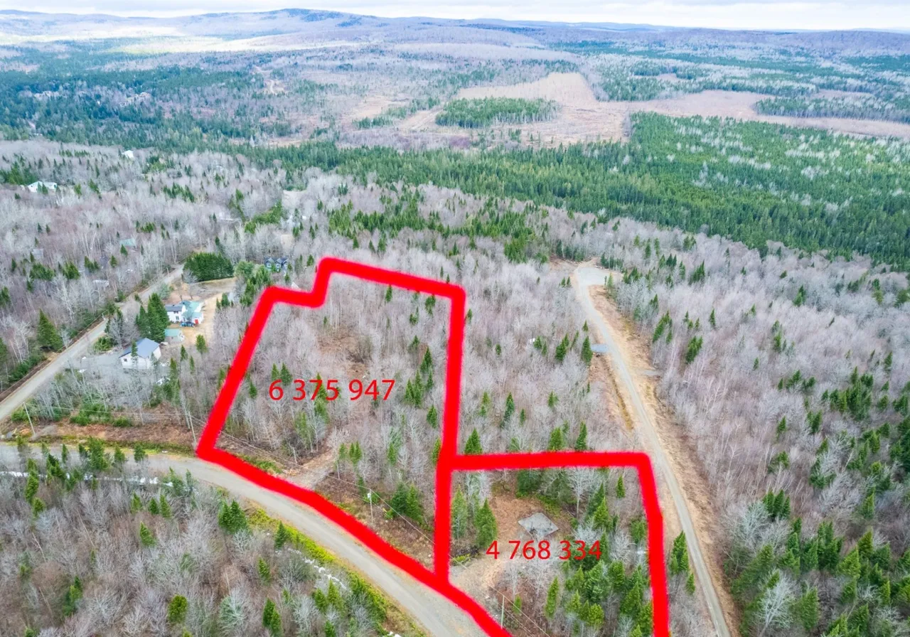 Terrain à vendre -  Ch. de la Buse, Notre-Dame-Des-Boies, J0B 2E0