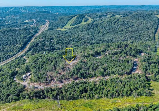 Land for Sale -  Ch. du Grand-Héron, Sainte-Adèle, J8B 1E9