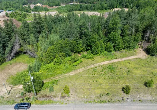 Terrain à vendre -  Ch. des Colibris, St-Donat-De-Montcalm, J0T 2C0