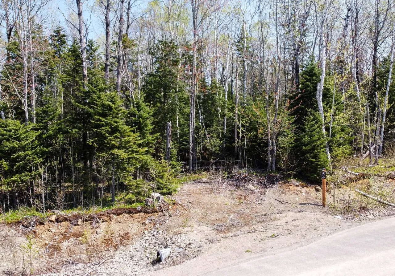 Terrain à vendre - 5 Rue Laure-Conan, Petite-Riviere-St-François, G0A 0C5