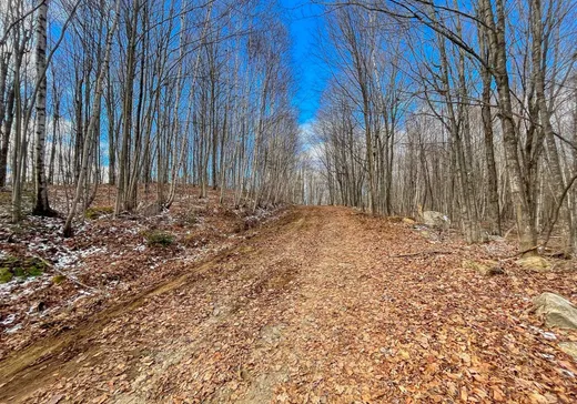 Terrain à vendre -  Ch. du Lac-Tremblant, Saint-Émile-de-Suffolk, J0V 1Y0