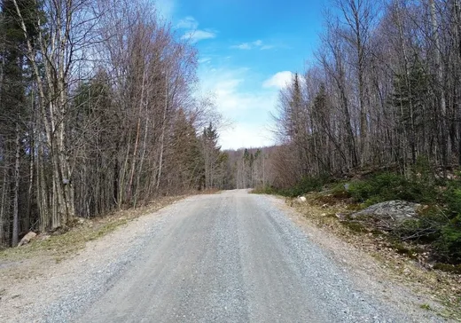 Terrain à vendre - 260 Ch. Bourbeau, Lac-aux-Sables, G0X 1M0