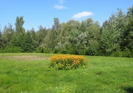 Terrain à vendre -  Ch. de la Côte-St-Ambroise, Saint-Lin-Laurentides, J5M 1H2