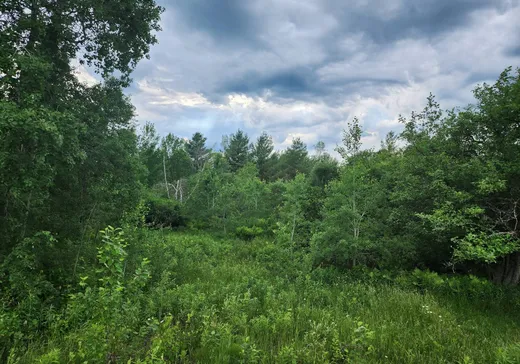 Land for Sale -  Ch. de Fitch-Bay, Magog, J1X 3W2