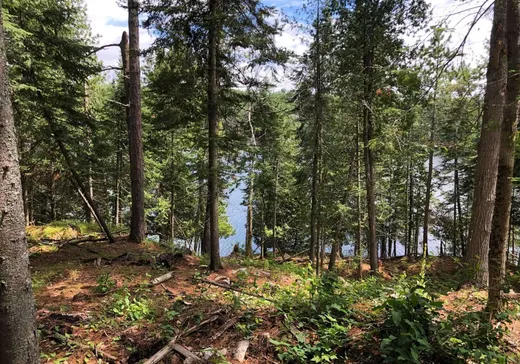 Terrain à vendre -  Ch. du Domaine-des-Deux-Lacs, Lac-du-Cerf, J0W 1S1