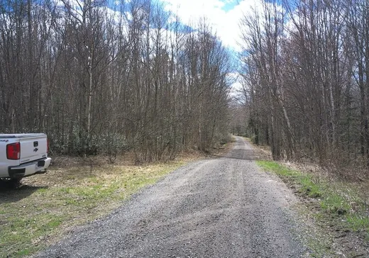 Terrain à vendre -  Ch. Tadoussac, St-Raphael-de-Bellechasse, G0R 4C0