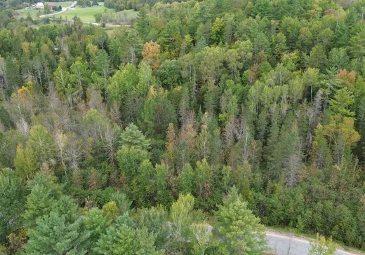 Terrain à vendre -  Ch. Lemens, Gatineau, J0X 1Z0