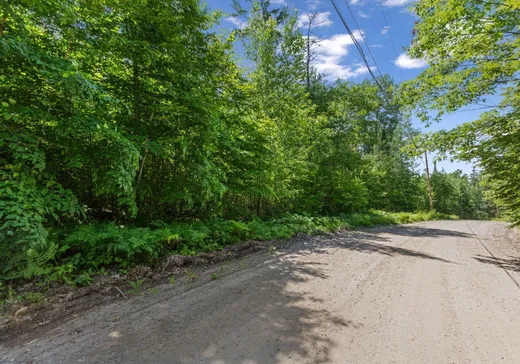 Terrain à vendre -  Ch. Lacroix, Sainte-Thérèse-de-la-Gatineau, J0X2X0