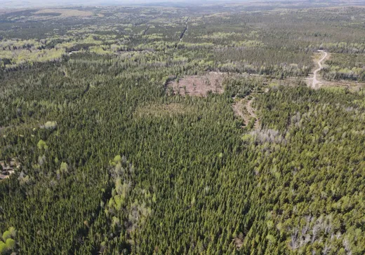 Terrain à vendre -  Rg Lafontaine, Ste-Perpétue L'Islet, G0R 3Z0