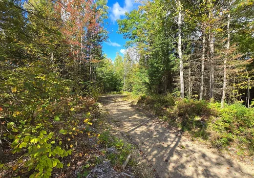 Land for Sale -  Ch. Pelletier, Otter Lake, J0X 2P0