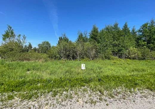 Terrain à vendre - 11 Rue du Belvédère-sur-le Fleuve, Bergeronnes, G0T1G0