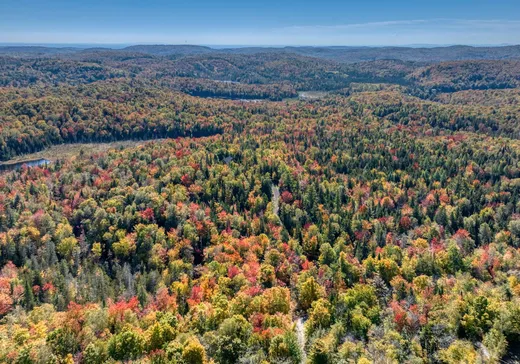 Terrain à vendre - Ch. du Lac-P Ch. du Lac-Pilon, Sainte-Adèle, J8B 1N9