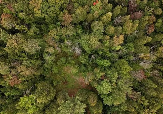 Terrain à vendre -  Ch. Lamoureux, Ste-Julienne, J0K 2T0