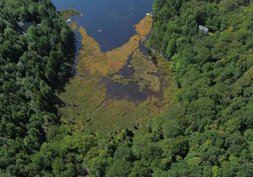 Terrain à vendre -  Ch. Bourbeau, Lac-aux-Sables, G0X 1M0