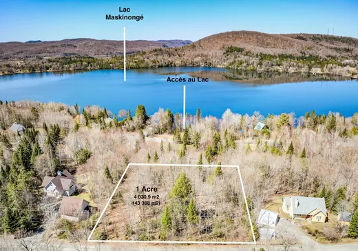 Land for sale -  Ch. des Fleurs-Sauvages, Mont-Tremblant, J8E2B1