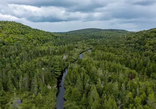 Terrain à vendre -  Ch. de la Montagne-Cachée S., Chertsey, J0K3K0