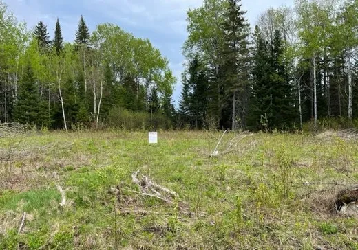 Land for Sale -  Ch. Desjardins, Saint-Michel-des-Saints, J0K 3B0