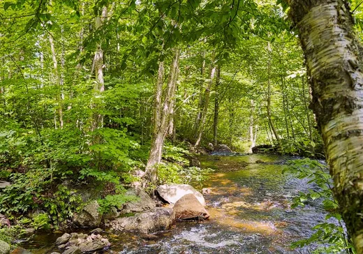 Terrain à vendre -  Ch. du Lac-Archange, Ste-Thecle, G0X 3G0