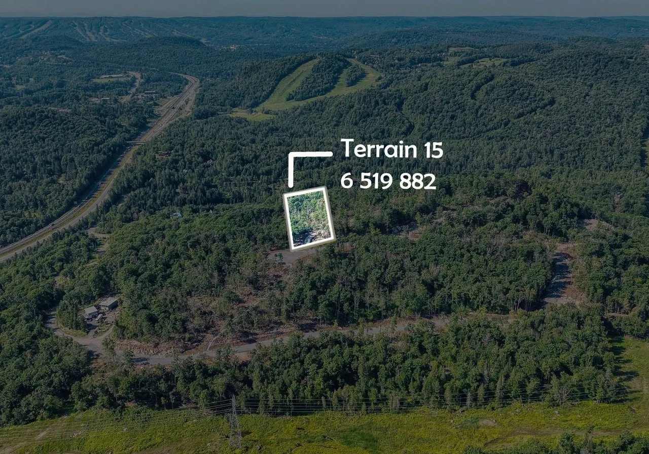 Terrain à vendre -  Ch. du Grand-Héron, Sainte-Adèle, J8B 1E9