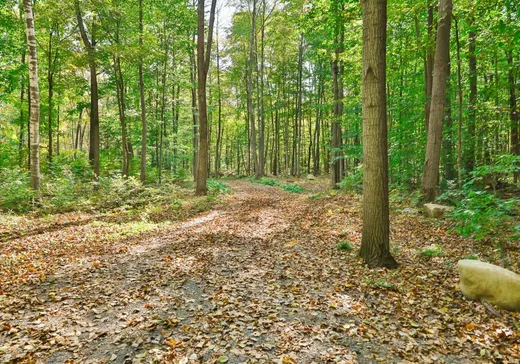 Terrain à vendre -  Rue de la Seigneurie, Lachute, J0V 1X0