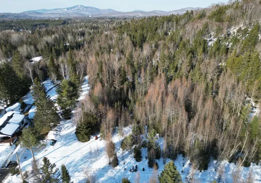 Land for Sale -  Ch. du Travois, Mont-Tremblant, J8E 2A4