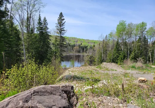 Terrain à vendre - 200 Ch. de la Rivière, Lac-Bouchette, G0W 1V0