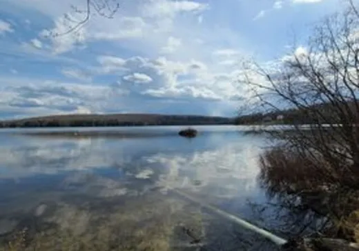 Terrain à vendre -  Rue Théophile-Ouimet, Mont-Laurier, J0W1H0