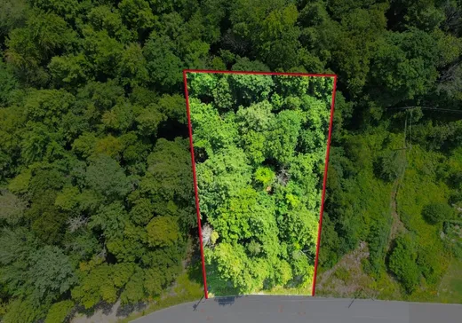 Land for Sale - 194 Rue de Sweetsburg, Cowansville, J2K 2E6