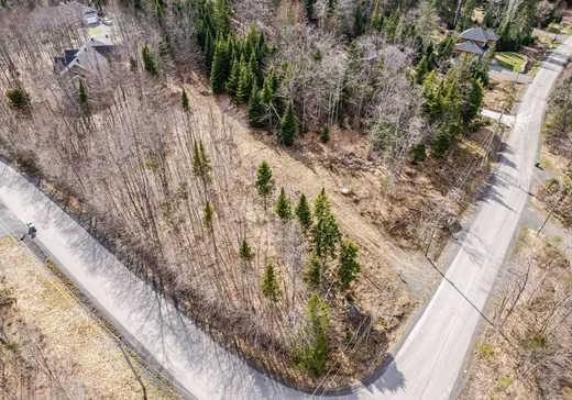 Terrain à vendre -  Ch. Doris, Saint-Sauveur, J0R 1R1