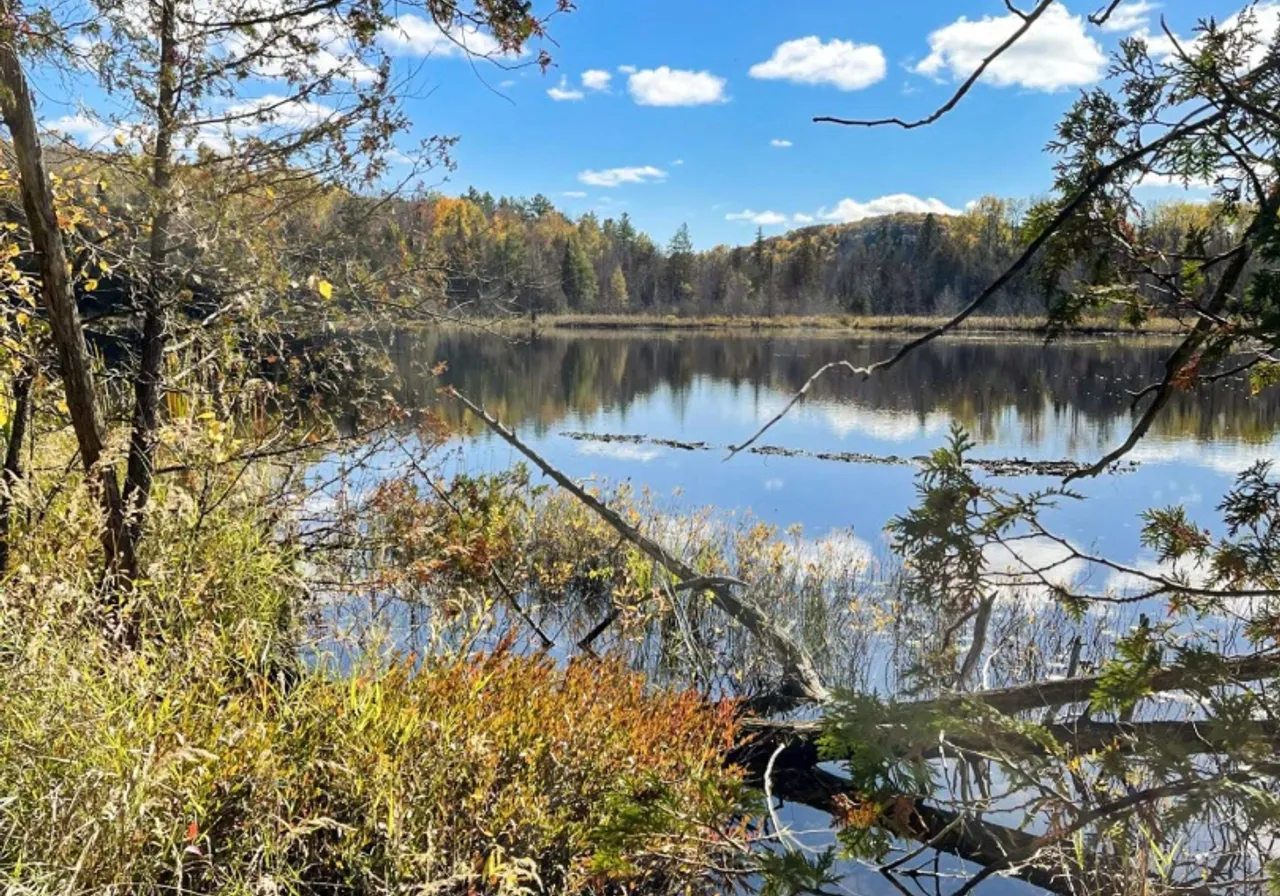 Terrain à vendre - 615 Mtée Bussière, Lac des Loups, J0X 3K0