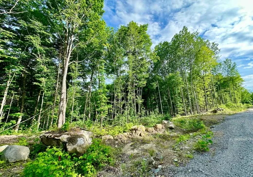 Terrain à vendre -  Ch. du Panorama, Notre-Dame-de-Pontmain, J0W 1S0