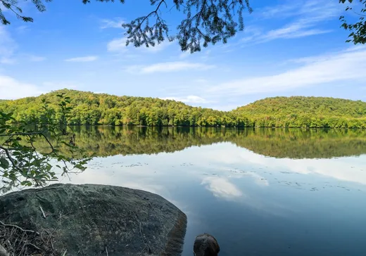 Terrain à vendre -  Ch. du Lac-de-la-Carpe, Lac-Des-Plages, J0T1K0