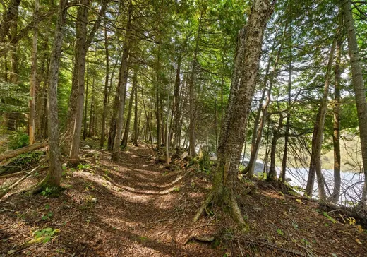 Terrain à vendre -  Ch. du Lac-de-la-Carpe, Lac-Des-Plages, J0T 1K0