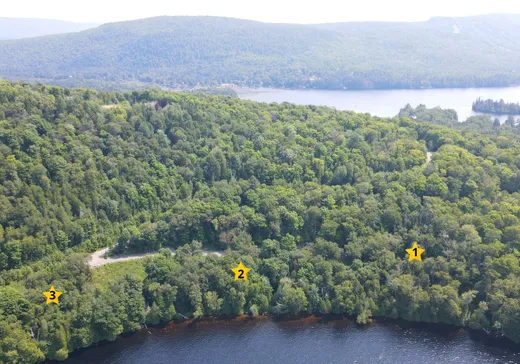 Land for sale -  Ch. Régimbald, St-Donat-De-Montcalm, J0T2C0