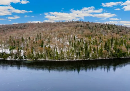 Terrain à vendre -  Ch. du Lac Hamel, Ste-Anne-Des-Lacs, J0W 1V0