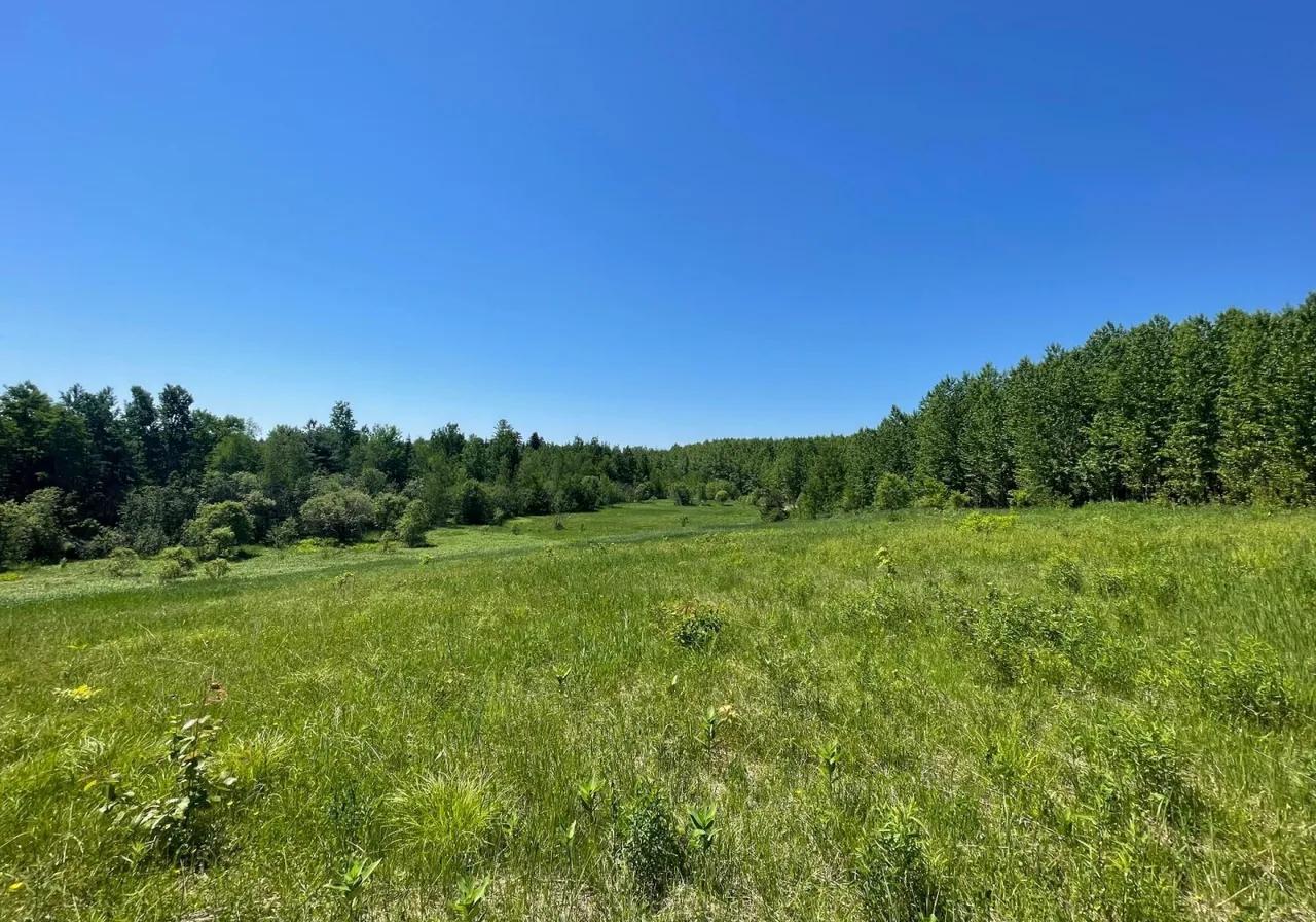 Land for Sale -  Ch. des Cerisiers, Saint-Paulin, J0K 3G0