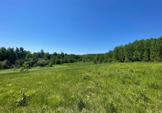 Land for sale -  Ch. des Cerisiers, Saint-Paulin, J0K3G0