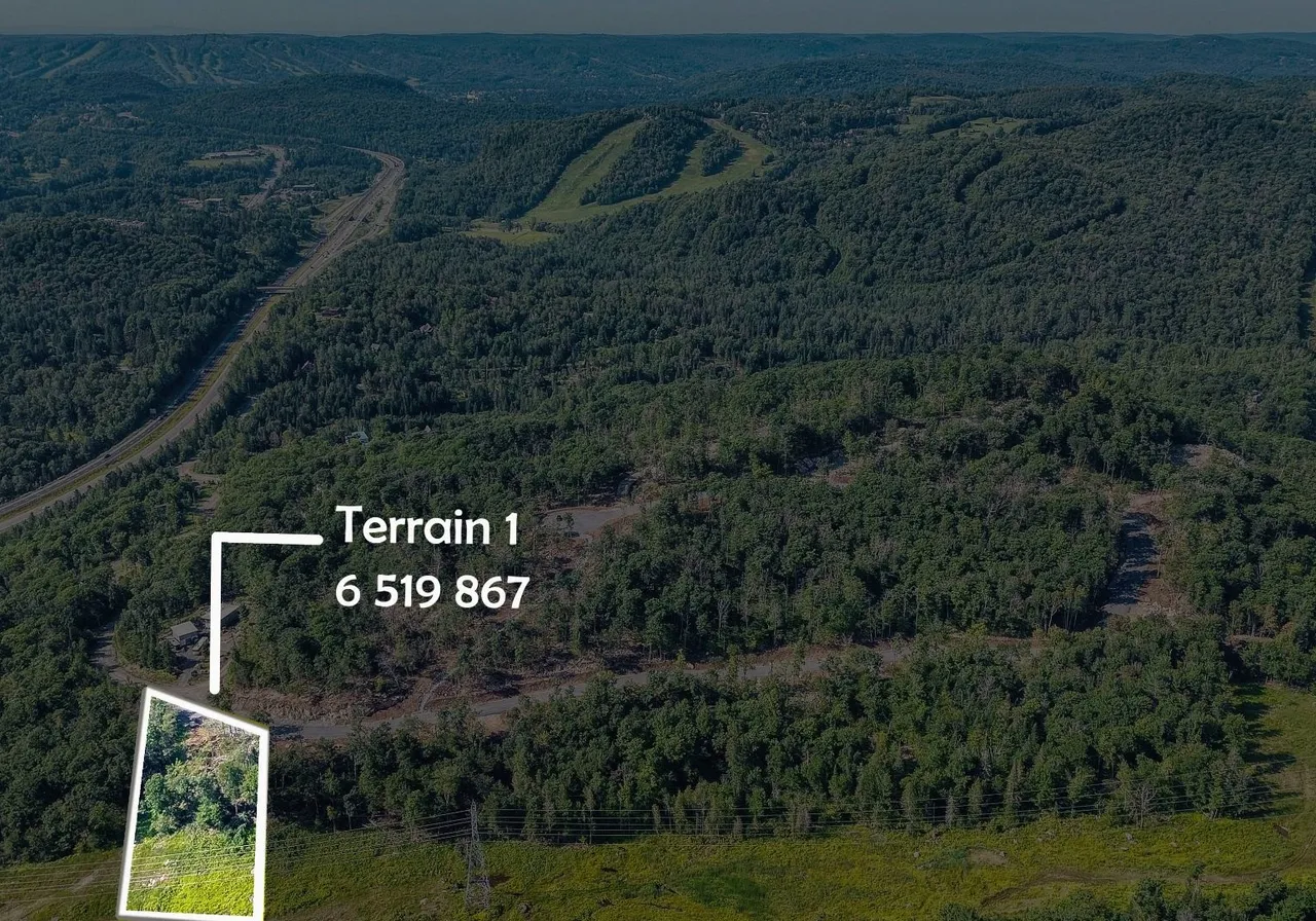 Terrain à vendre -  Ch. du Grand-Héron, Sainte-Adèle, J8B 1E9