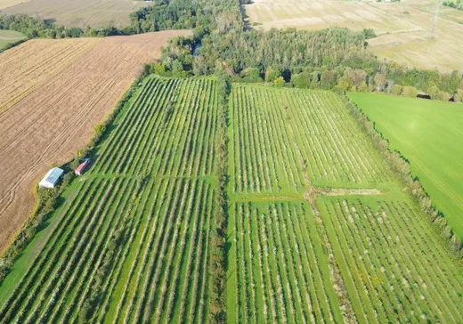 Terrain à vendre -  Rg de la Rivière-Blanche E., Saint-Casimir, G0A 3L0