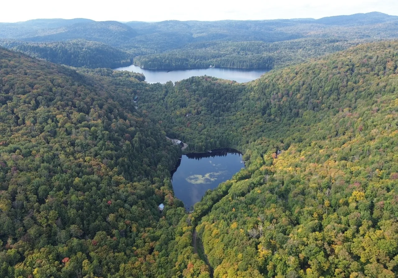 Terrain à vendre -  Mtée du Lac-Bleu, St-Leonard-De-Portneuf, G0A 4A0