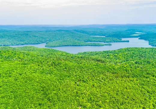 Terrain à vendre -  Ch. du Lac-Mondor, Shawinigan, G9T 0E8